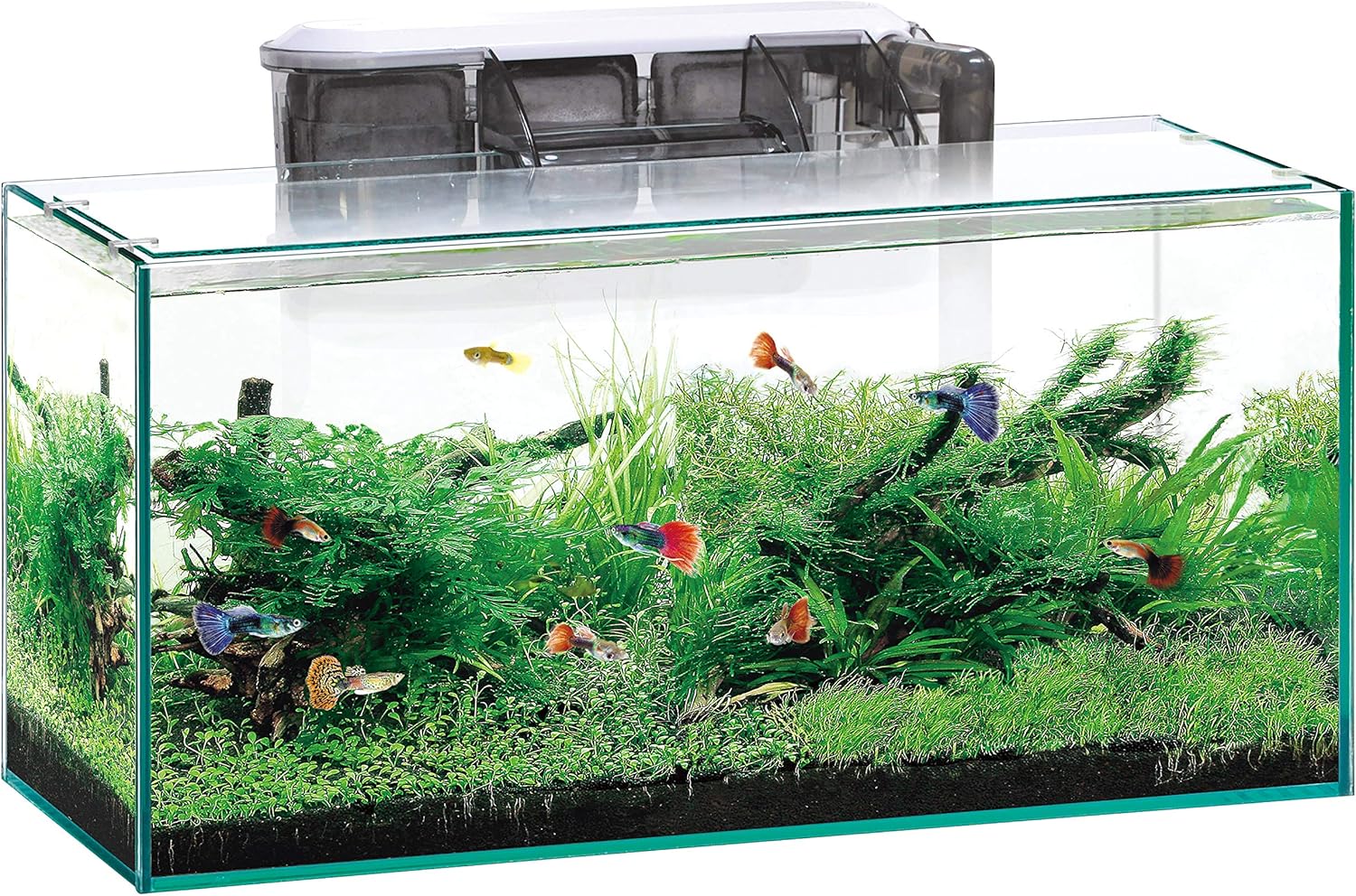 憲法学要論・行政法要義セット古書本1冊づつ販売します1,200円